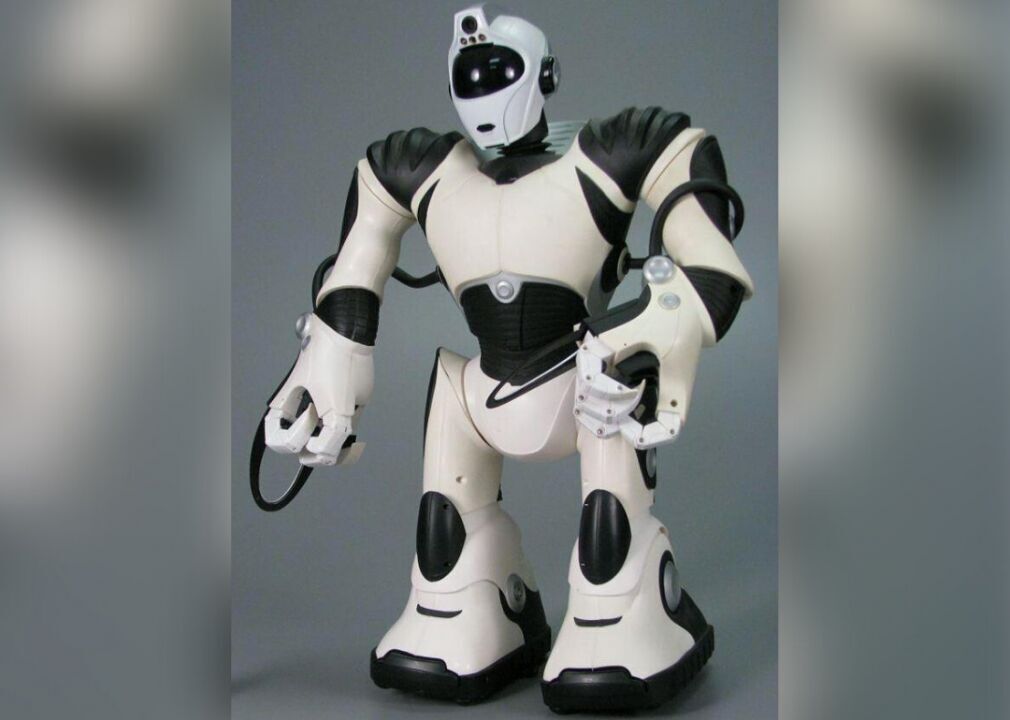 2004: Robosapien